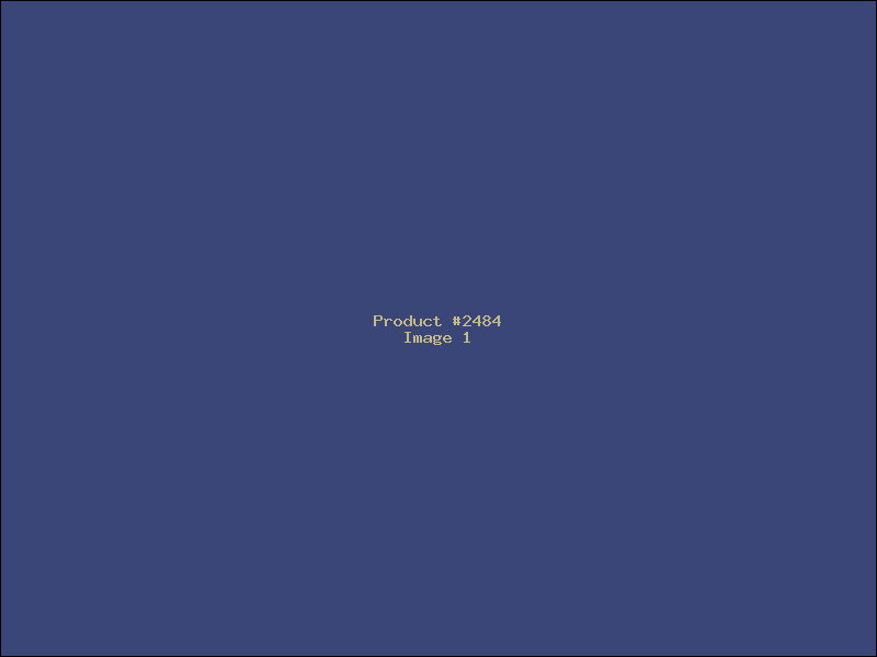 Example Product 2484