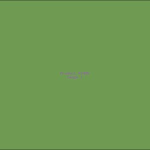 Example Product 2485