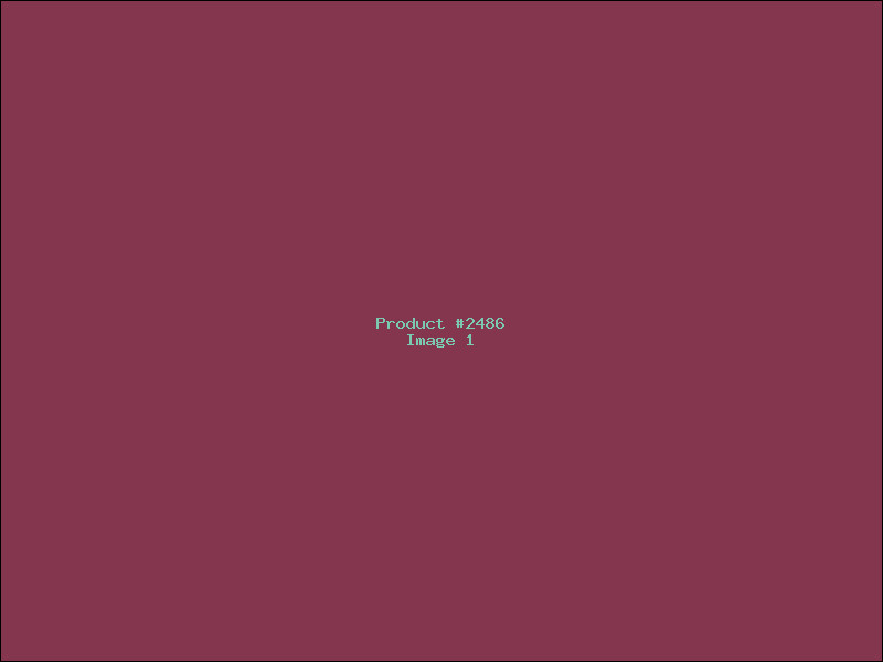 Example Product 2486