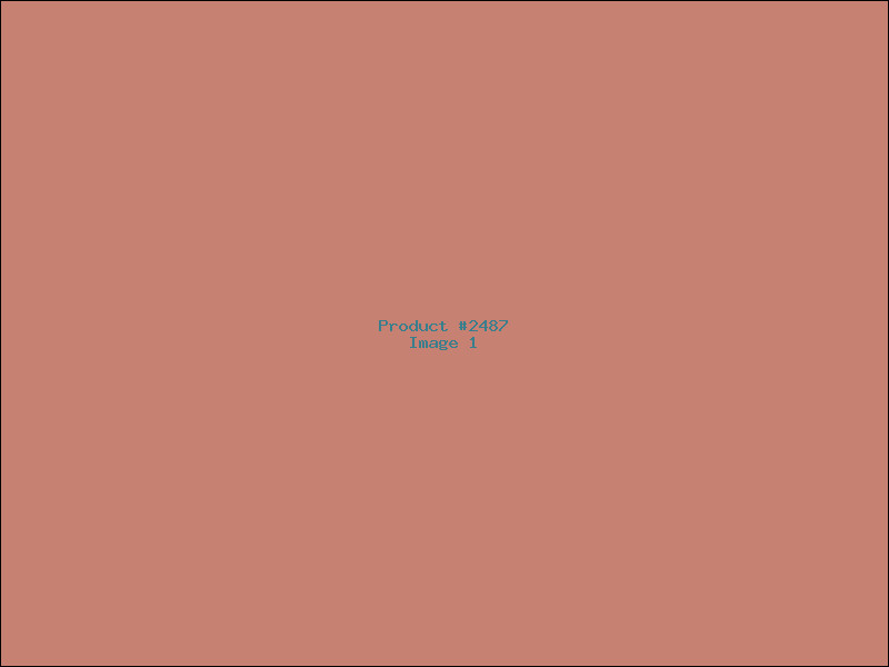 Example Product 2487
