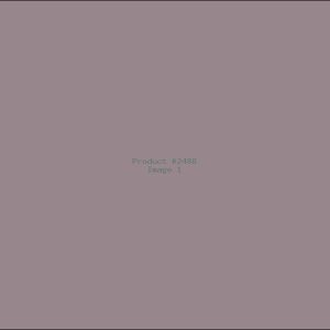 Example Product 2488