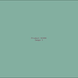 Example Product 2490