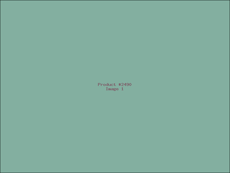 Example Product 2490