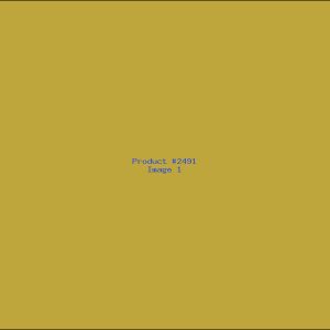 Example Product 2491