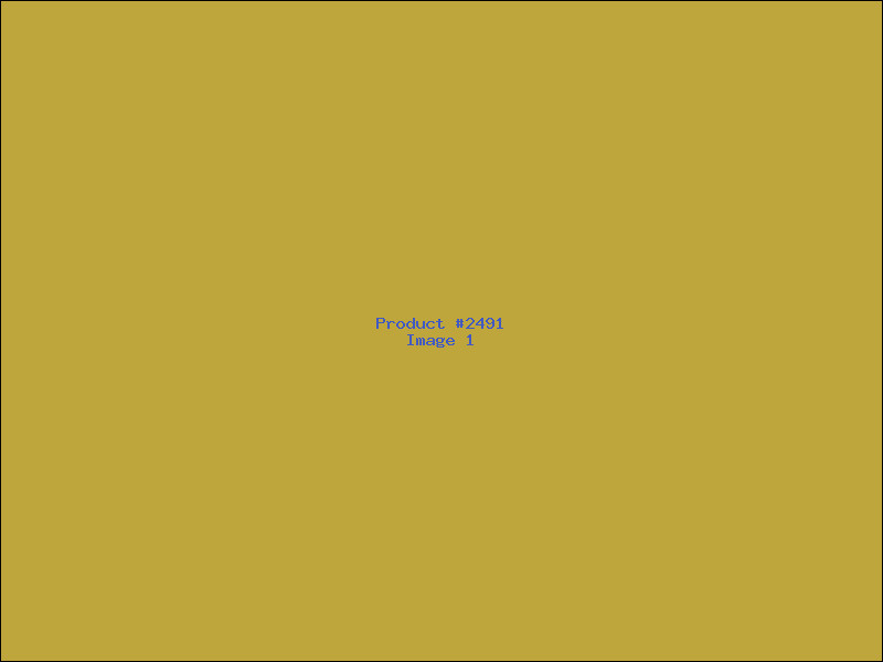 Example Product 2491