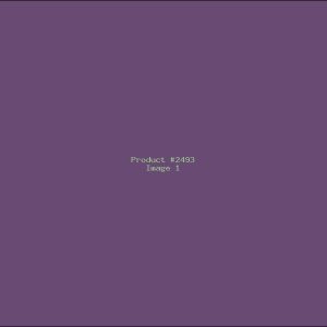 Example Product 2493