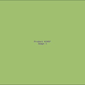 Example Product 2497
