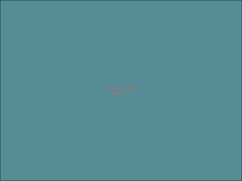 Example Product 2499 - Image 2