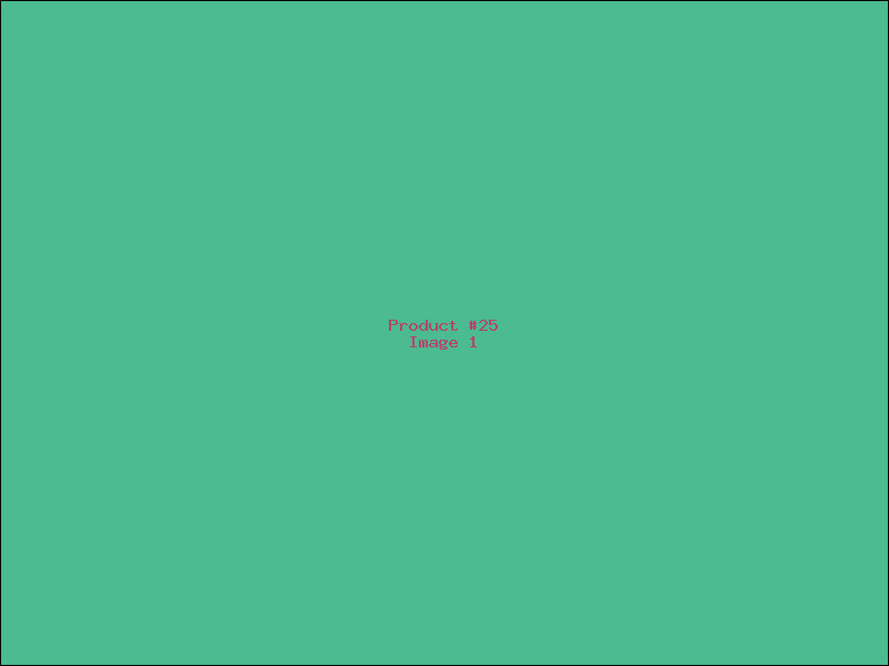Example Product 25
