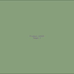 Example Product 2505