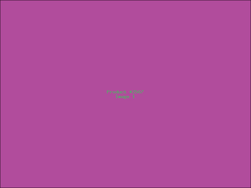 Example Product 2507