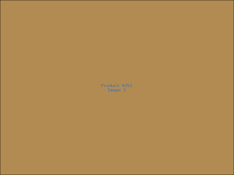 Example Product 251 - Image 2