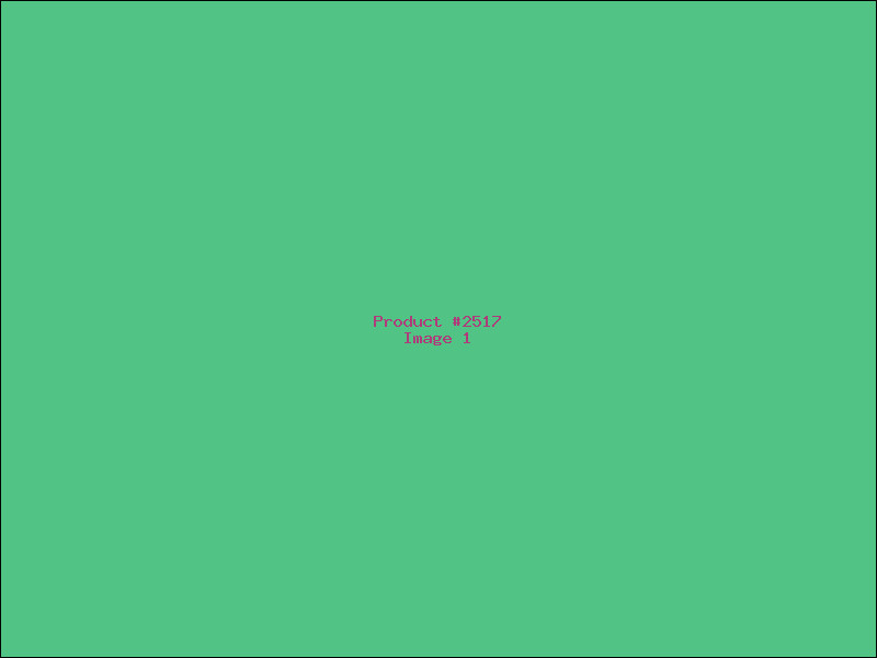 Example Product 2517
