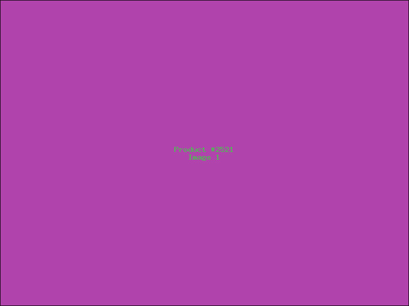 Example Product 2521