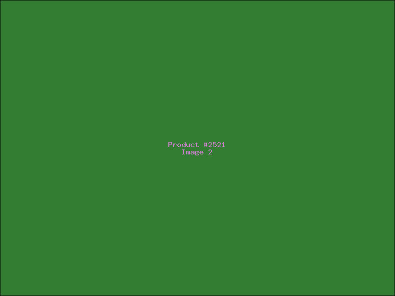 Example Product 2521 - Image 2