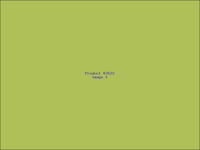 Example Product 2522