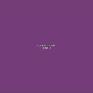 Example Product 2528