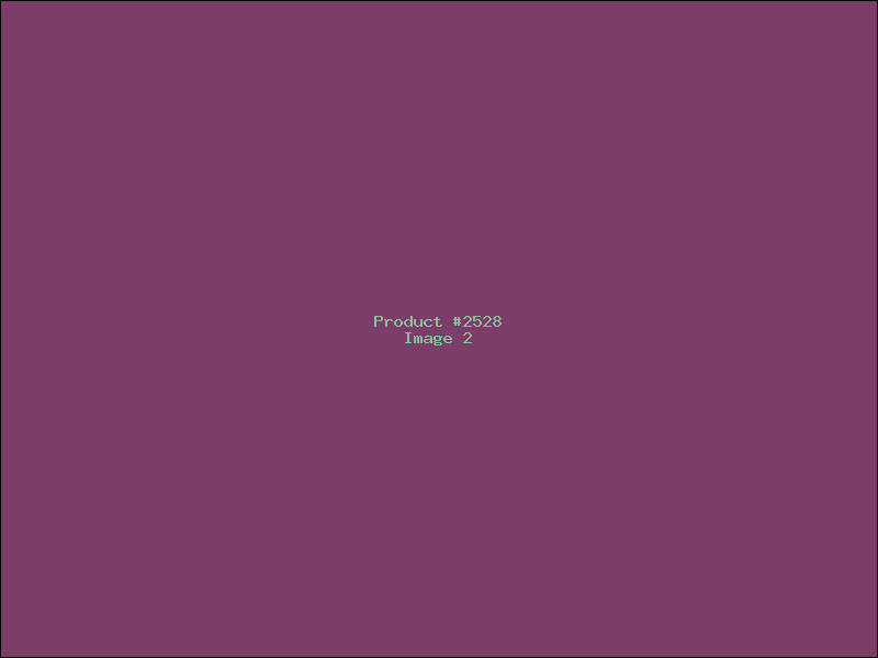 Example Product 2528 - Image 2