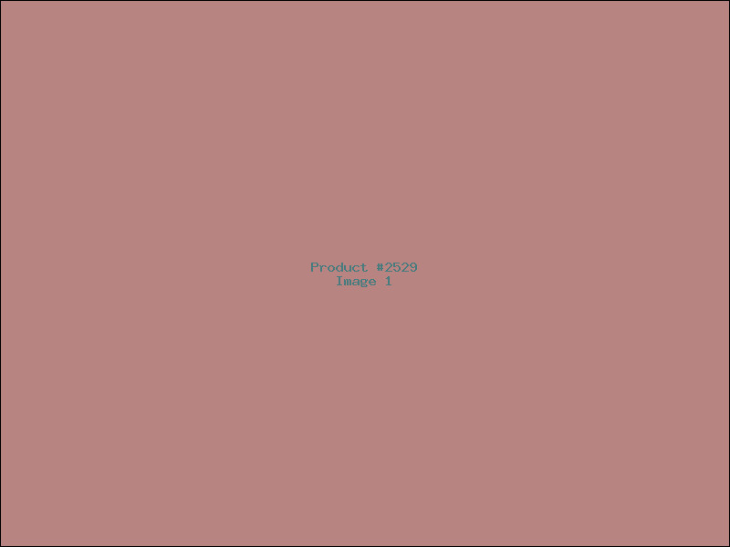 Example Product 2529