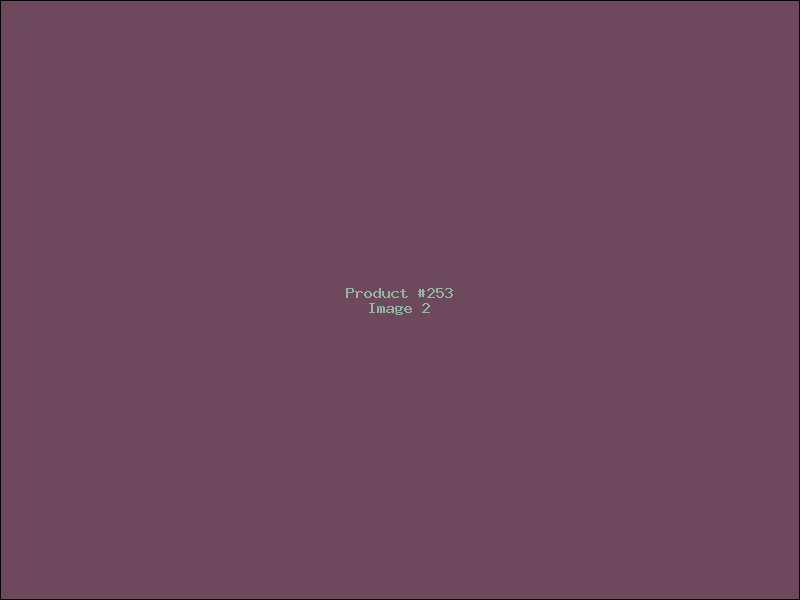 Example Product 253 - Image 2