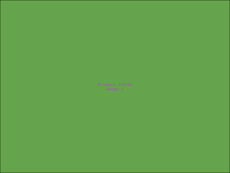 Example Product 2530