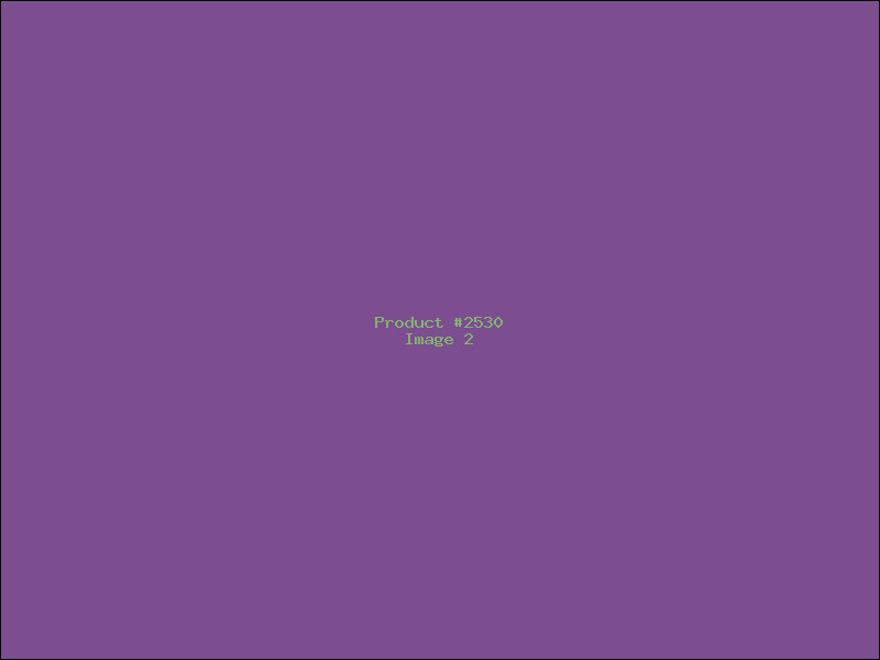 Example Product 2530 - Image 2