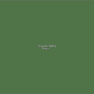 Example Product 2531