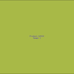 Example Product 2532