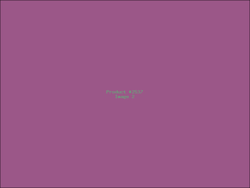 Example Product 2537 - Image 2