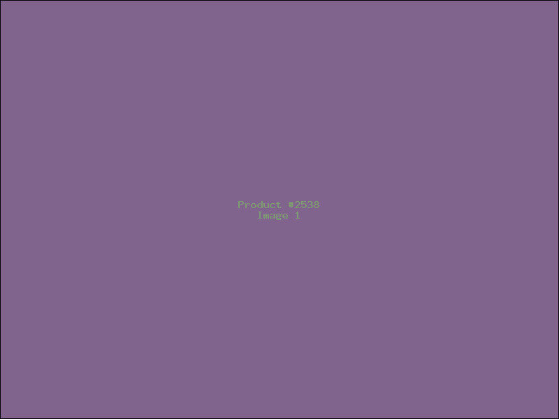 Example Product 2538