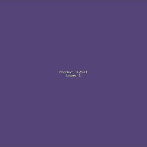 Example Product 2541