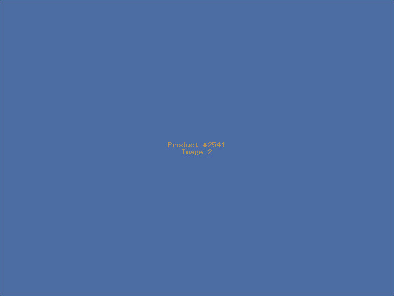 Example Product 2541 - Image 2