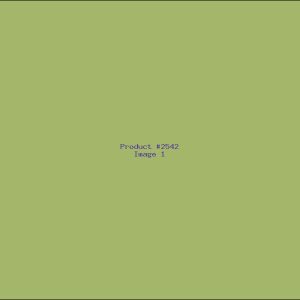 Example Product 2542