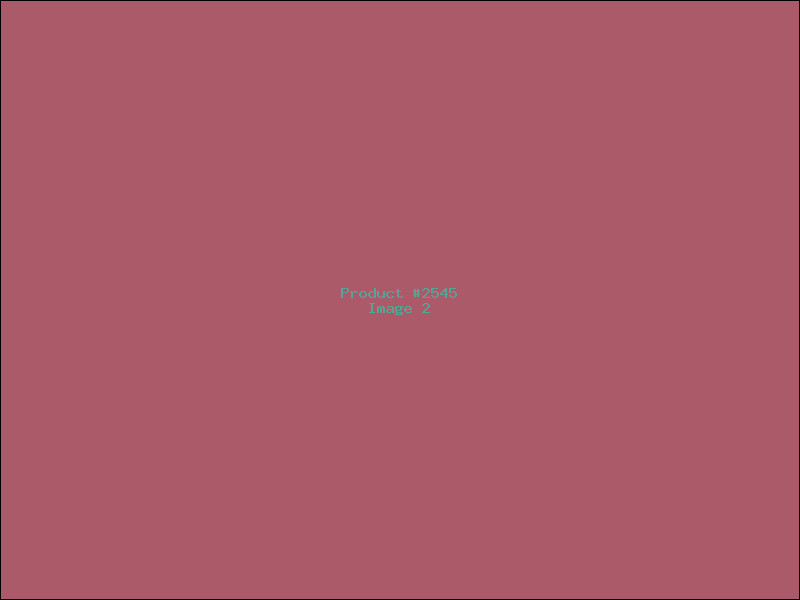 Example Product 2545 - Image 2