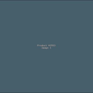 Example Product 2553