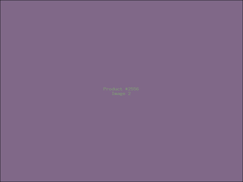 Example Product 2556 - Image 2