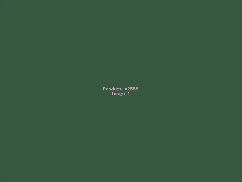 Example Product 2558