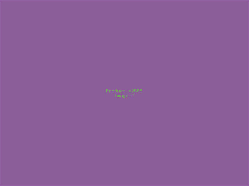 Example Product 2558 - Image 2