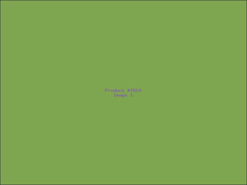 Example Product 2559