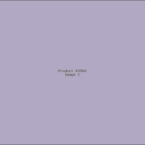 Example Product 2560