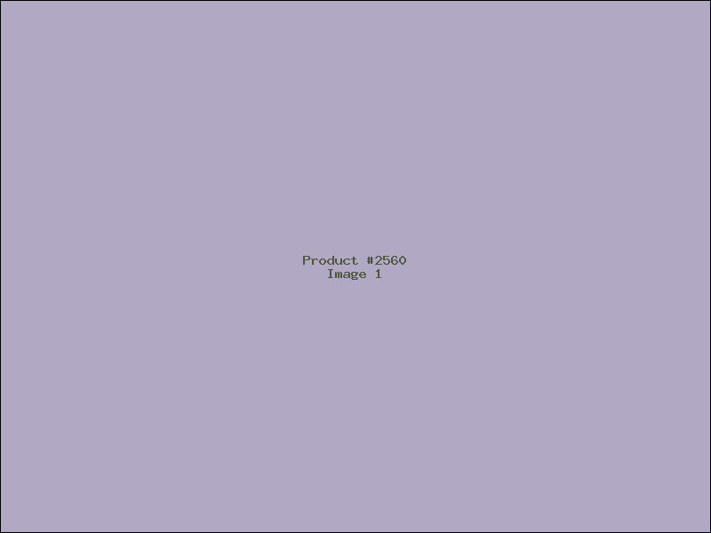 Example Product 2560
