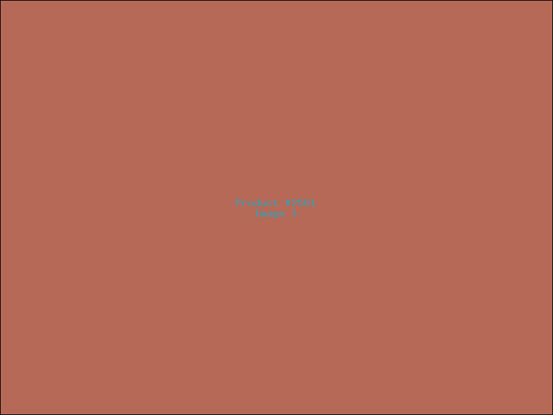 Example Product 2561