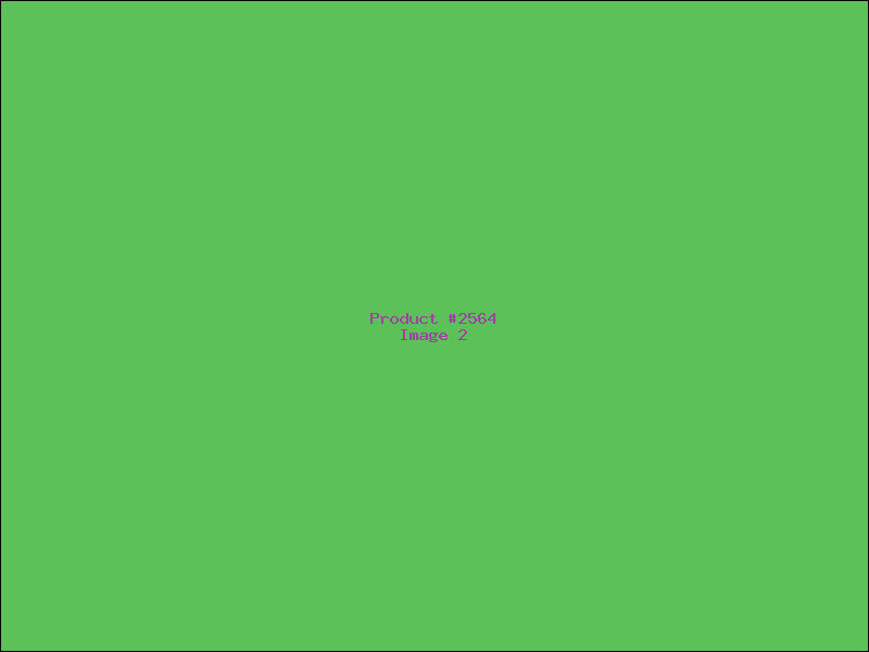 Example Product 2564 - Image 2