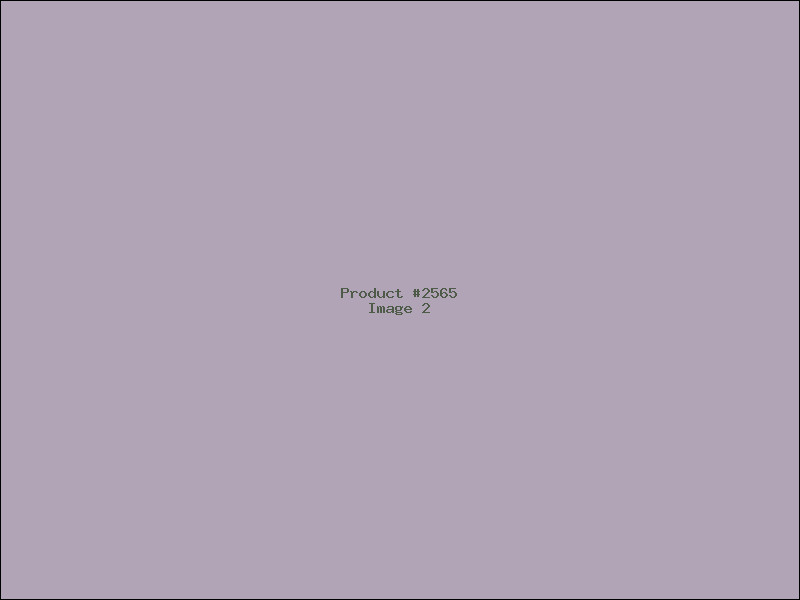 Example Product 2565 - Image 2
