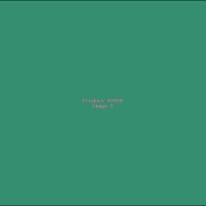 Example Product 2569