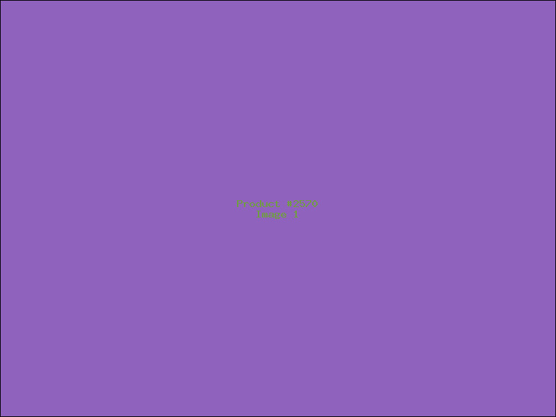 Example Product 2570