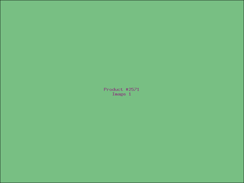 Example Product 2571