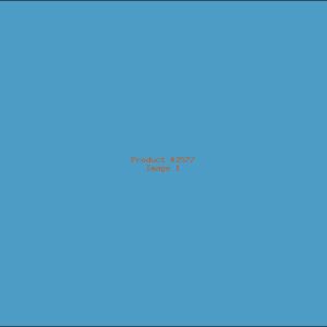 Example Product 2577