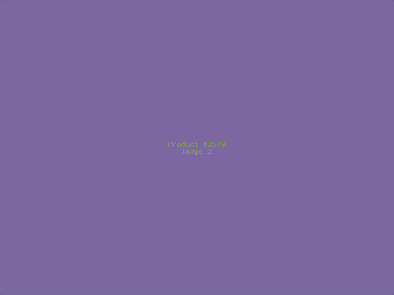 Example Product 2579 - Image 2