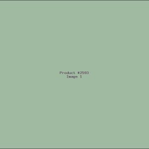 Example Product 2593
